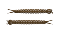 038-Brown