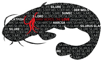 Naklejka Delphin SUMEC Seria Words