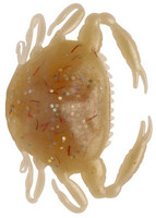 Amber Glow Ro