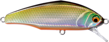 Wobler Smith D-Incite