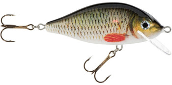 Wobler Jaxon HS Karaś