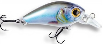 Wobler Robinson Arnie F35