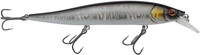 Baitfish