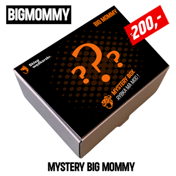 Mystery Box Big Mommy