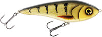 3D Amber Perch