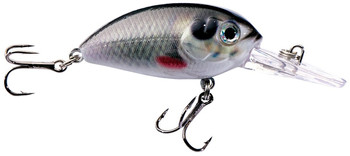 Wobler Jaxon Atract Aris