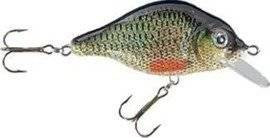 Woblery Jaxon HS Carpan