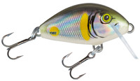 Smelt