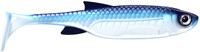 Blue Whitefish