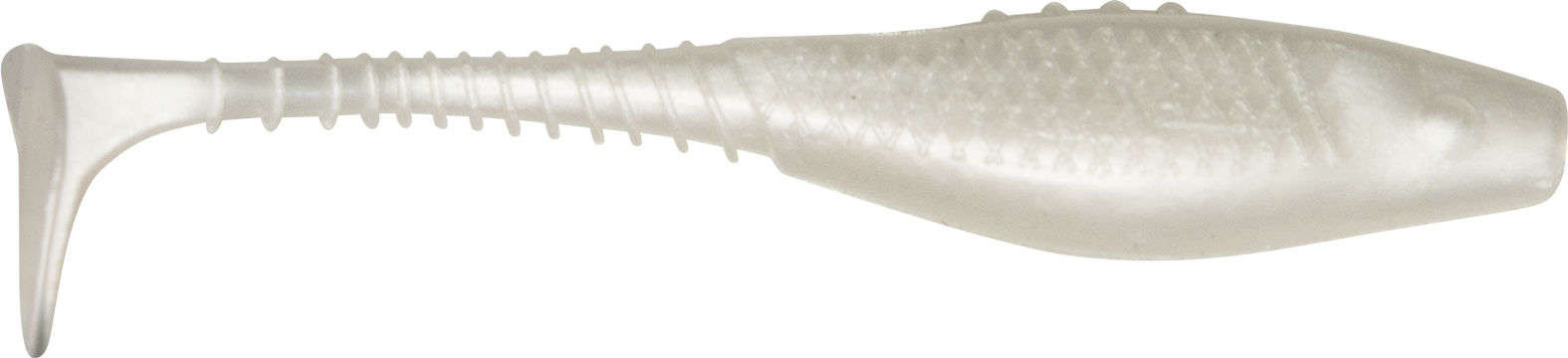 Guma, ripper Dragon Belly Fish