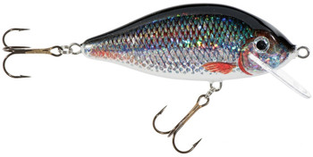 Wobler Jaxon HS Karaś