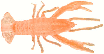 Guma spinningowa QubiLures Raczek