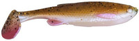 02-Rudd Minnow