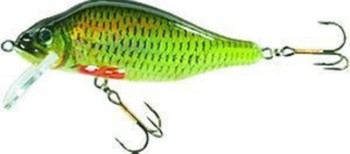 Wobler Jaxon Holo Select Valader