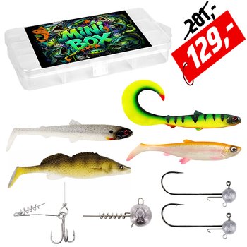 Zestaw przynęt Mini BOX Pike