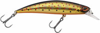 Golden Trout