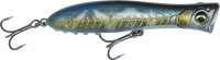 Imperial Sardine