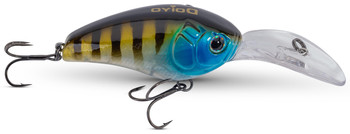 Wobler IC DOIYO Wild Buccaneer