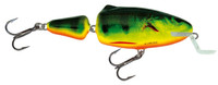 Real Hot Perch