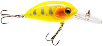 Wobler Jaxon Atract Aris