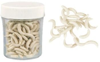 Sztuczne robaki Konger Biały robak