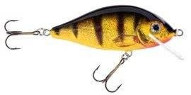 Woblery Jaxon HS Karaś