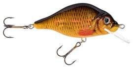 Woblery Jaxon HS Carpan