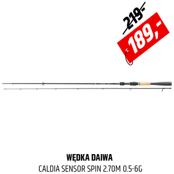 Wędka Daiwa Caldia Sensor Spin
