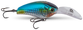 Wobler IC DOIYO Wild Buccaneer