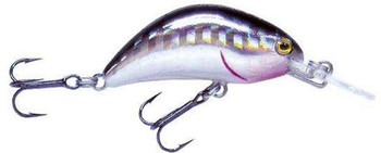 Wobler Robinson Tronx