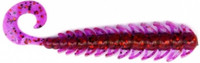 Ur29 Chameleon /Red seed