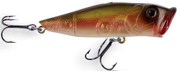 Wobler Robinson Pop Star