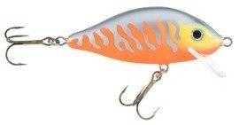 Woblery Jaxon HS Karaś