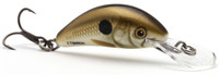 Pearl Shad
