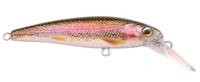 Rainbow Trout