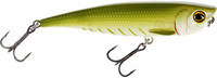 Green Minnow
