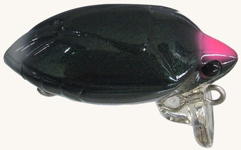 Wobler Smith Camenusi