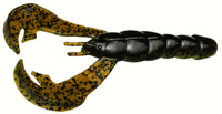 Summer Craw