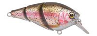 Rainbow Trout