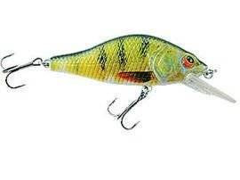 Woblery Jaxon Atract XXT-D