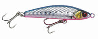 Pink Belly Sardine