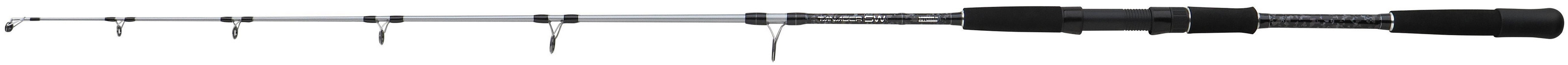 Wędka Mitchell Tanager SW Jig