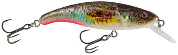Wobler Salmo Slick Stick F
