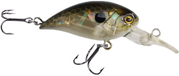 Wobler Robinson Buster F40