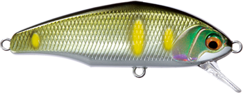 Wobler Smith D-Incite