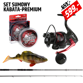 Set Sumowy Kabata Premium - Bixlite Power Spin z Silupro i plecionką