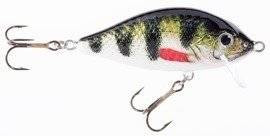 Woblery Jaxon HS Karaś Shallow Water