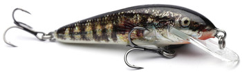 Wobler Salmo Minnow F