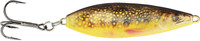 Brook Trout Fry