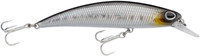 Baitfish